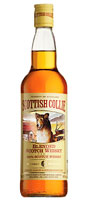 scottish collie 0.5